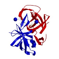Image of CATH 4exh