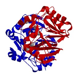 Image of CATH 4ey2