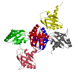 Image of CATH 4eyt