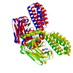 Image of CATH 4ezw