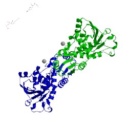 Image of CATH 4f04