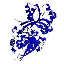 Image of CATH 4f06