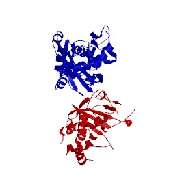 Image of CATH 4f0d
