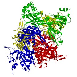 Image of CATH 4f0p