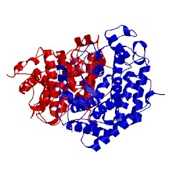Image of CATH 4f10