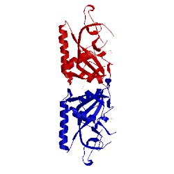 Image of CATH 4f1q