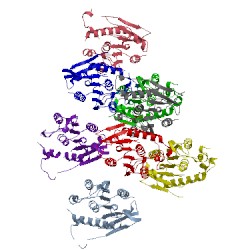 Image of CATH 4f21
