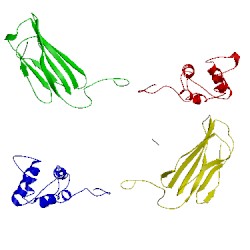 Image of CATH 4f37