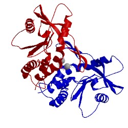Image of CATH 4f5d