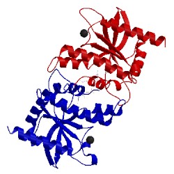 Image of CATH 4f5y