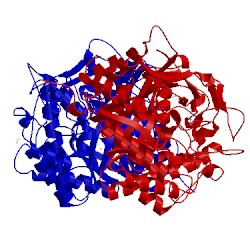 Image of CATH 4f66