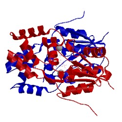 Image of CATH 4f72