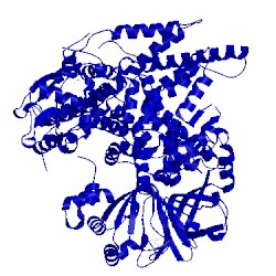 Image of CATH 4f7z