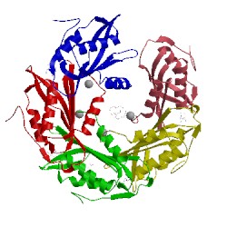Image of CATH 4f8b