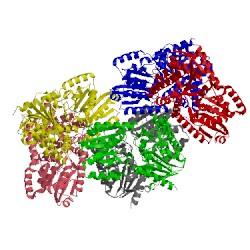 Image of CATH 4f9f