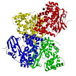 Image of CATH 4fb2