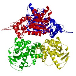 Image of CATH 4fbb