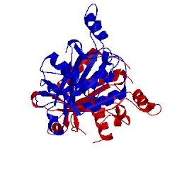 Image of CATH 4fbd