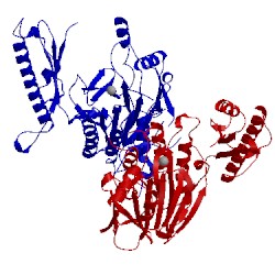 Image of CATH 4fbk
