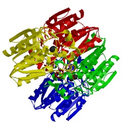 Image of CATH 4fbl