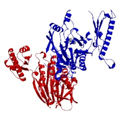 Image of CATH 4fbq