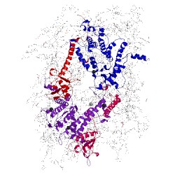 Image of CATH 4fby