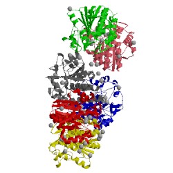 Image of CATH 4fc5