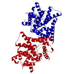 Image of CATH 4fcd