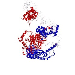 Image of CATH 4fcy