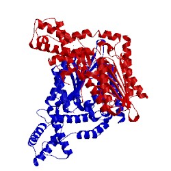 Image of CATH 4fdt