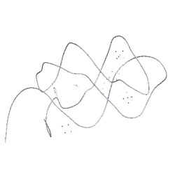 Image of CATH 4fe5