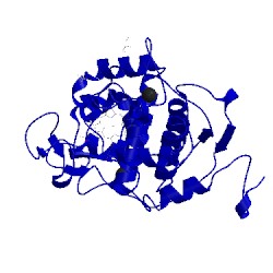 Image of CATH 4fef