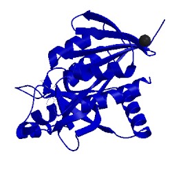 Image of CATH 4ffs