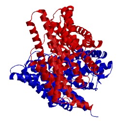 Image of CATH 4fg6