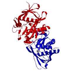 Image of CATH 4fgr