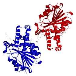 Image of CATH 4fgz