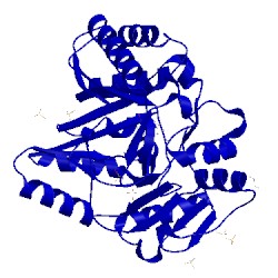 Image of CATH 4fhc