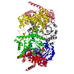 Image of CATH 4fiq