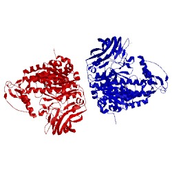 Image of CATH 4fix