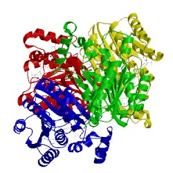 Image of CATH 4fj2