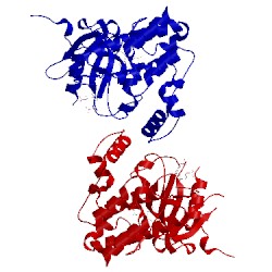 Image of CATH 4fk6