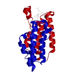 Image of CATH 4flp