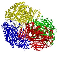 Image of CATH 4fns