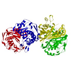 Image of CATH 4foa