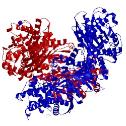 Image of CATH 4fpb