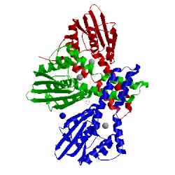 Image of CATH 4fpp