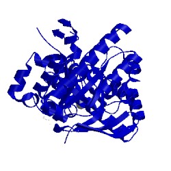Image of CATH 4fps