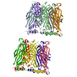 Image of CATH 4frr