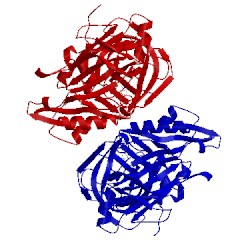 Image of CATH 4frs