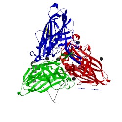 Image of CATH 4fsj